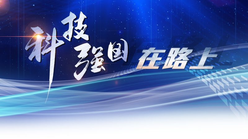 软件测试流程培训视频：揭秘高效测试的秘诀